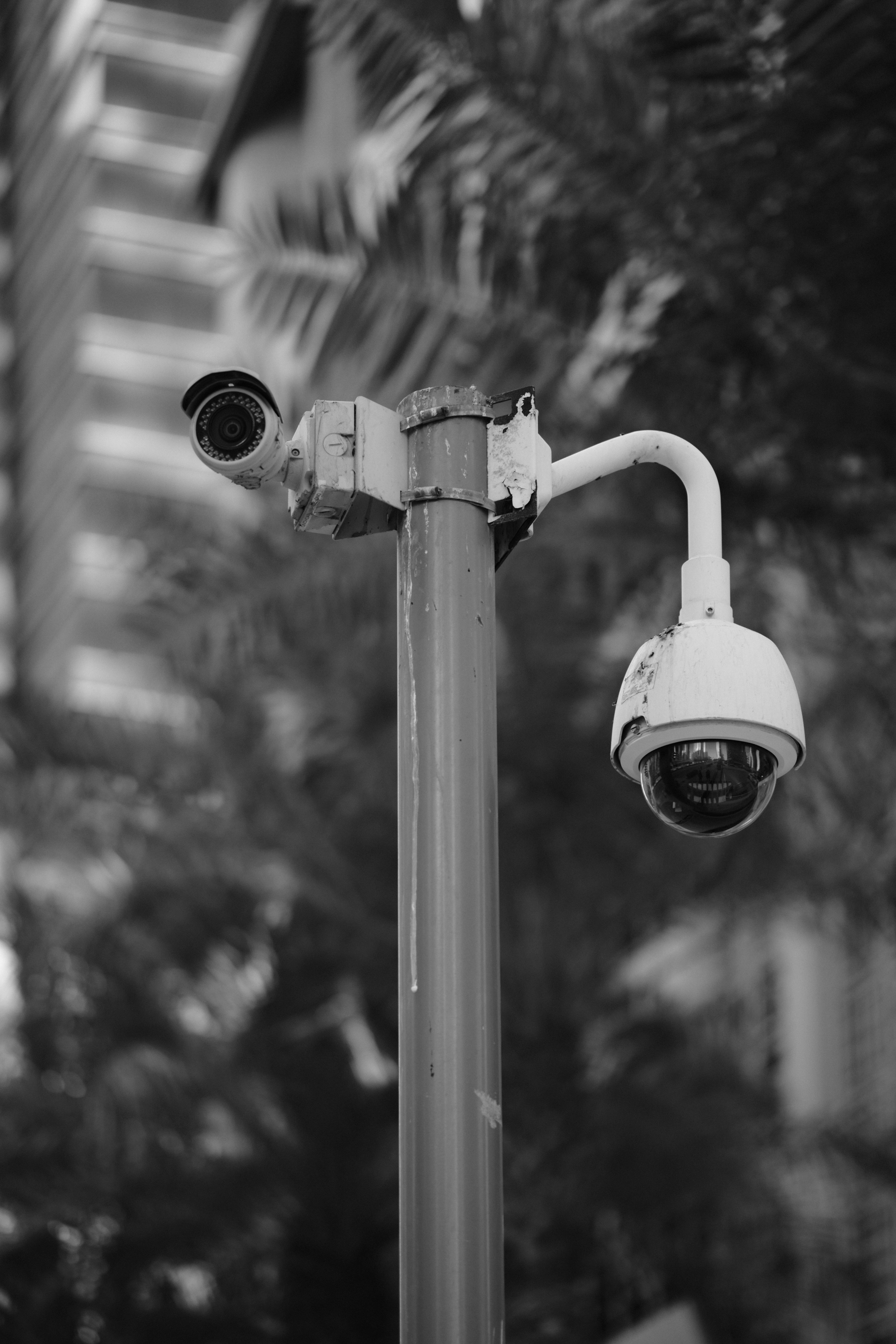 Vision Camera AI Deployment